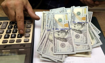 Курс доллара в Украине поднялся до пятимесячного максимума