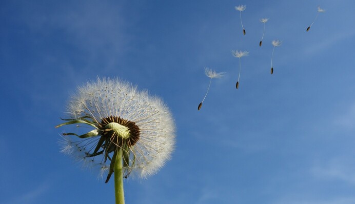 Весна в Україну прийде трохи раніше: прогноз синоптика на зиму по місяцях