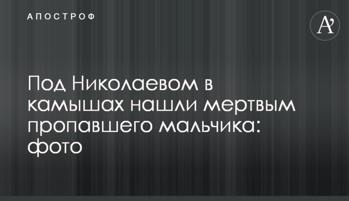 Под Николаевом в камышах нашли мертвым пропавшего мальчика: фото