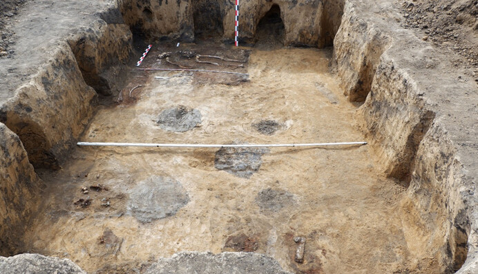 Археологи нашли артефакты скифов с изображениями богинь и грифонов: фото