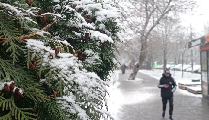Руйнівна погода: в Україні десятки міст та сіл залишилися без електрики