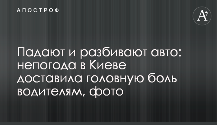 Падають та розбивають авто: негода у Києві завдала головного болю водіям, фото