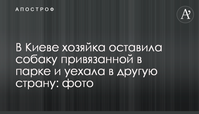 В Киеве хозяйка оставила собаку привязанной в парке и уехала в другую страну: фото