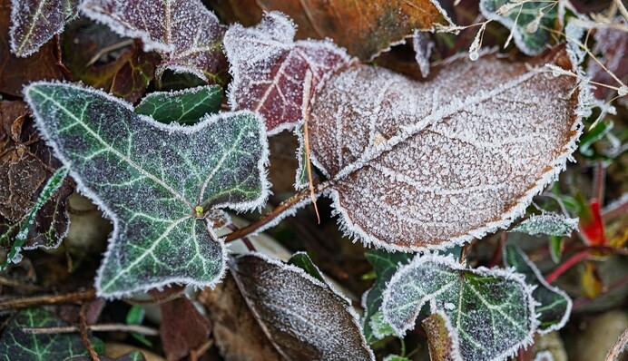 В Україні різко похолодає до -20 градусів: синоптики назвали точну дату