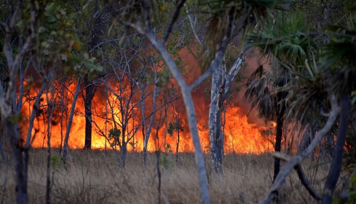Призывают бросать дома и бежать: в Австралии вспыхнули мощные лесные пожары