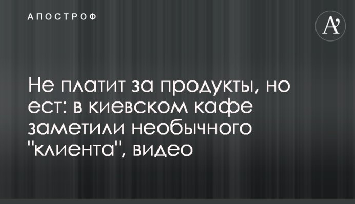 Не платит за продукты, но ест: в киевском кафе заметили необычного 