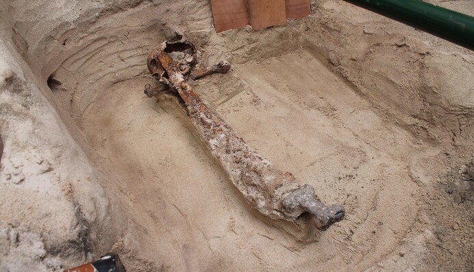 Археологи знайшли рідкісний меч вікінгів з прикрасами: фото