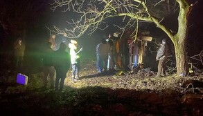 На Закарпатті мікроавтобус врізався у підводу з людьми – є жертви: фото та відео