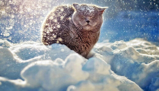 Придет ли в Украину самая суровая 