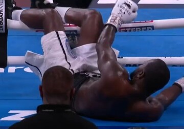 Вбивча міць: британець нокаутував суперника, вибивши його за канати, відео