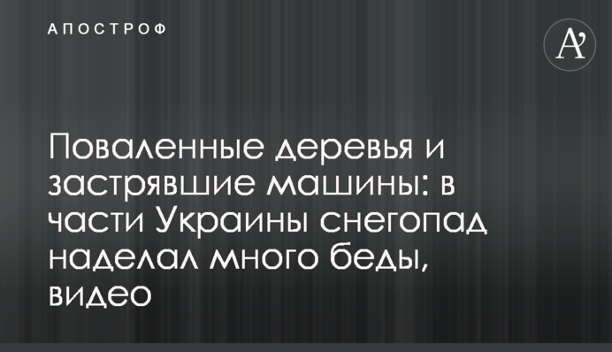 Повалені дерева і машини, що застрягли: в частині України снігопад наробив багато лиха, відео