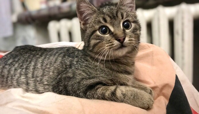 Спасали 15 часов: в харьковском метро провели 