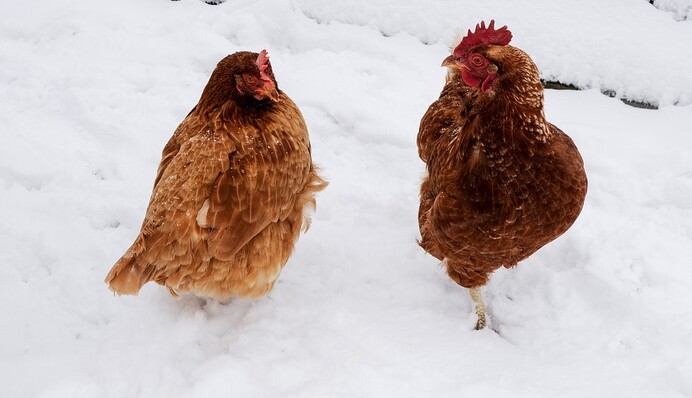 ​Климат меняется: синоптик объяснила, работают ли народные приметы погоды