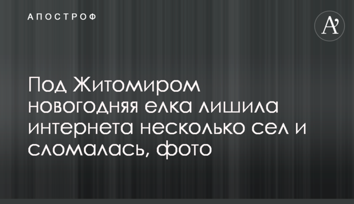 Под Житомиром новогодняя елка лишила Интернета несколько сел и сломалась, фото
