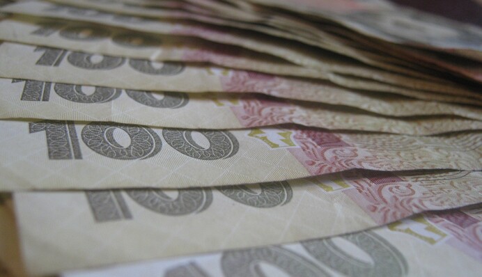 Все почнеться з підозр: як українців перевірятимуть на доходи