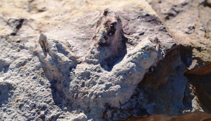 Рядом с Украиной обнаружили 