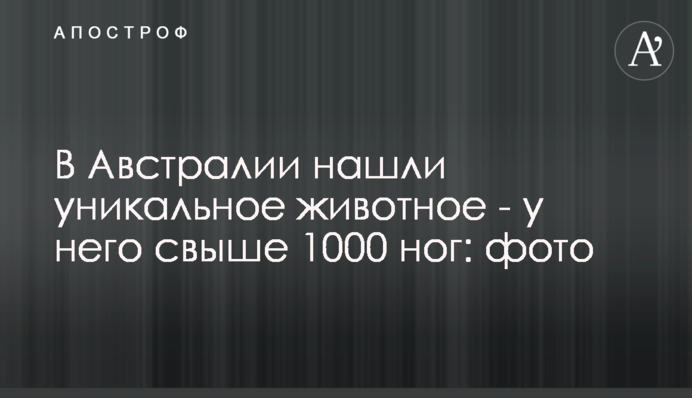 В Австралії знайшли унікальну тварину - у неї понад 1000 ніг: фото