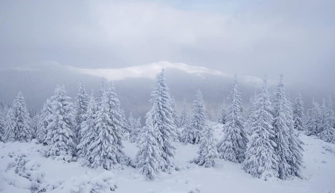 Часть Украины заваливает снегом: спасатели предупредили об опасности