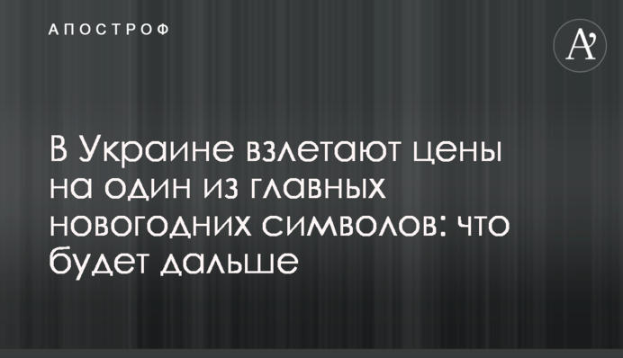 В Украине взлетают цены на один из главных новогодних символов: что будет дальше