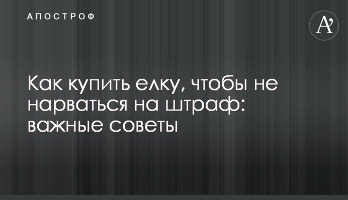 Як купити ялинку, щоб не нарватися на штраф: важливі поради