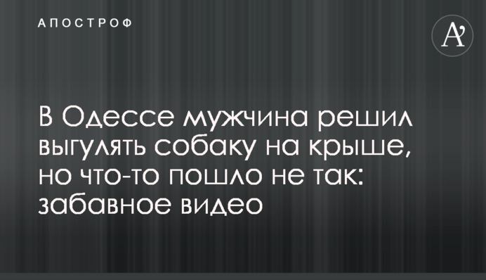 В Одессе мужчина решил выгулять собаку на крыше, но что-то пошло не так: забавное видео