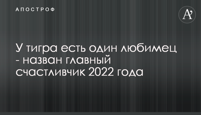 У тигра є один улюбленець - названо головного щасливчика 2022 року