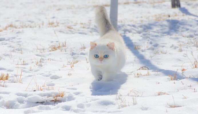Синоптики уточнили прогноз на День святого Николая: погода будет не праздничной