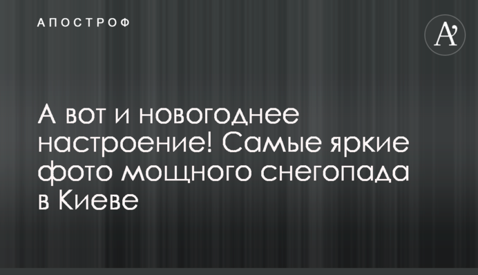 А ось і новорічний настрій! Найяскравіші фото потужного снігопаду у Києві