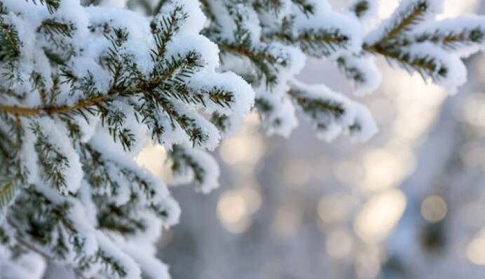 Частину України на Новий рік завалить шаром снігу до 60 см: карта погоди