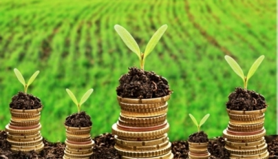 Новый налог на землю: что надо знать украинцам и сколько придется платить