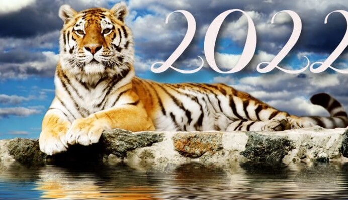 Приближается год Тигра: какие будут счастливые числа и кому он принесет удачу