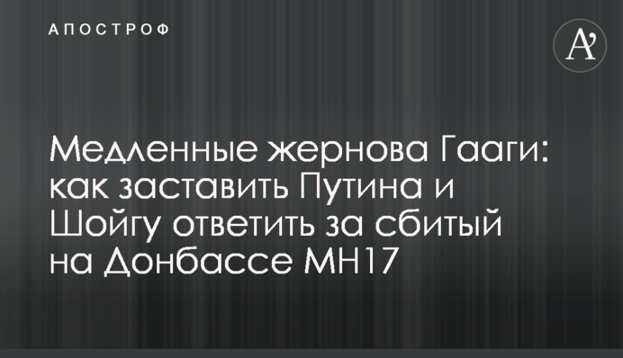 Медленные жернова Гааги: как заставить Путина и Шойгу ответить за сбитый на Донбассе MH17