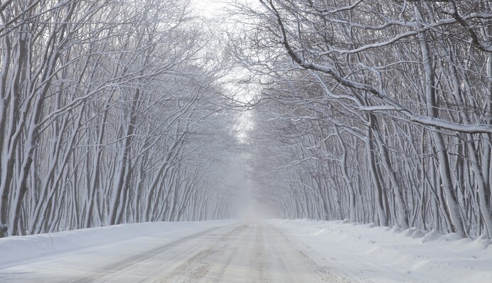В Україні серйозно погіршиться погода: де засніжить і завихорить
