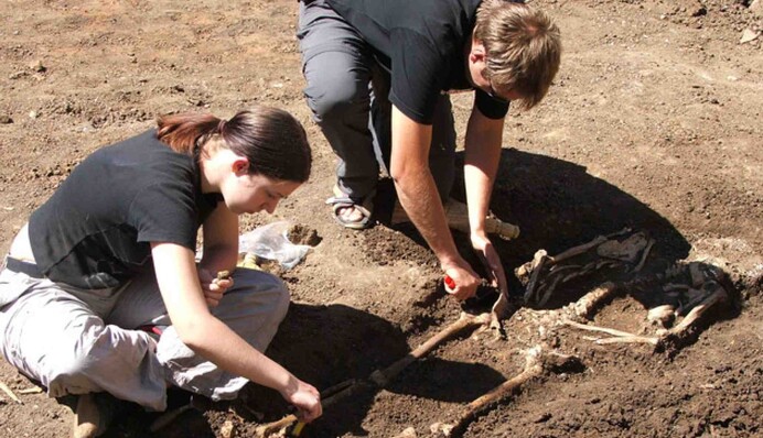 Древняя колесница, посох-змея и город майя: назван топ-10 археологических открытий 2021 года