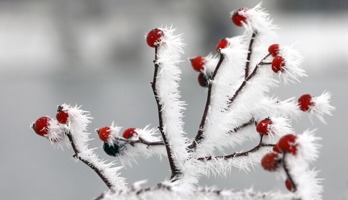 Солнце на севере и снег на юге: синоптики уточнили прогноз погоды на начало недели