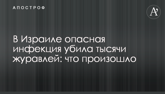 В Ізраїлі небезпечна для людей інфекція вбила тисячі журавлів: що сталося