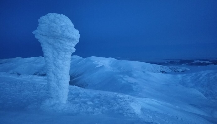 Карпаты засыпало почти метровым слоем снег: в сети показали зрелищные фото
