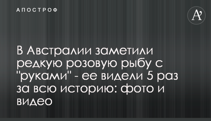В Австралии заметили редкую розовую рыбу с 