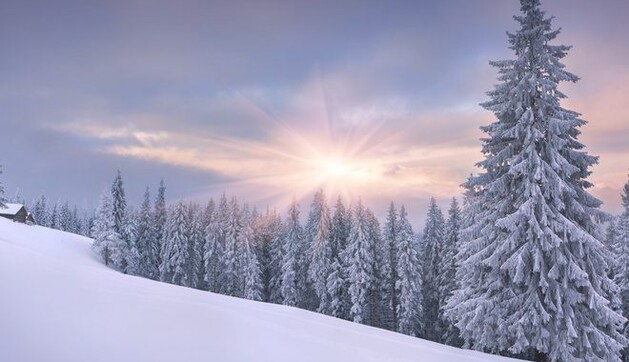 ​Перед Новим роком Україну занесе шаром снігу до 81 см: карта погоди