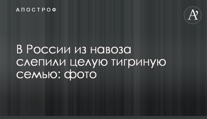 В России из навоза слепили целую тигриную семью: фото