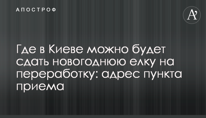 Де в Києві можна буде здати новорічну ялинку на переробку: адреса пункту прийому
