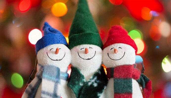 ​Не чіпай – це на Новий рік! Яскраві фотожаби на святкування року Тигра