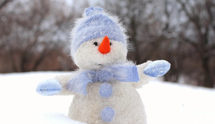 Украину в первые дни 2022 года занесет слоем снега до 73 см: карта погоды