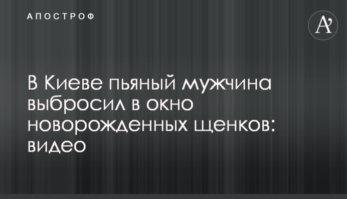 В Киеве пьяный мужчина выбросил в окно новорожденных щенков: видео