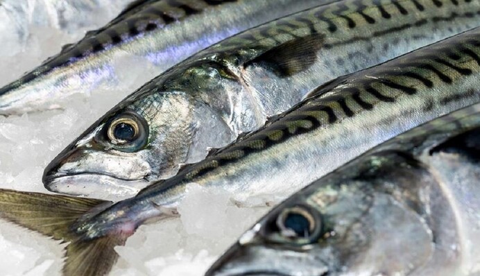 ​8 гривень за кілограм: Олена Зеленська зробила дивну заяву про ціни на рибу