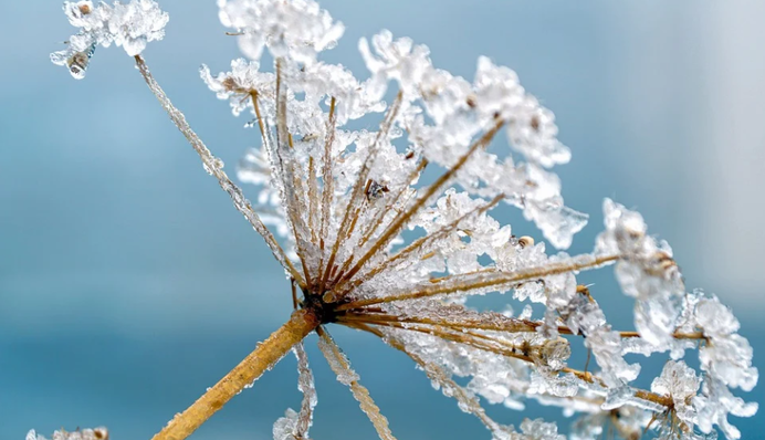 У новий рік із новим похолоданням: синоптик назвала дату різкої зміни погоди
