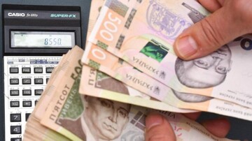 Получение субсидии в Украине: как изменится форма владения жильем после получения денег