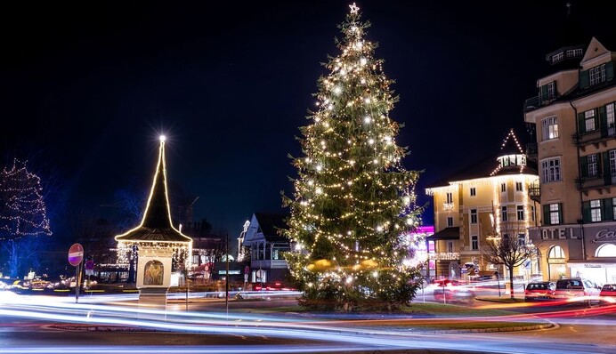 Який мають вигляд ТОП-10 новорічних ялинок України: у мережі склали незвичайний рейтинг, фото
