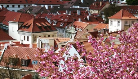 Температура, як у квітні: Новий рік 2022 року в Європі став найтеплішим в історії