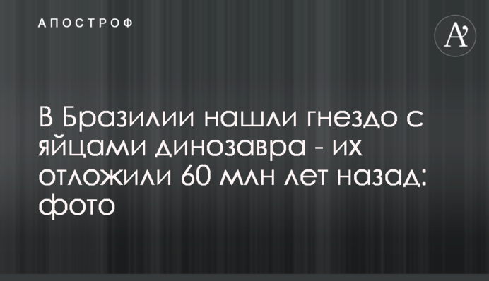В Бразилии нашли гнездо с яйцами динозавра - их отложили 60 млн лет назад: фото